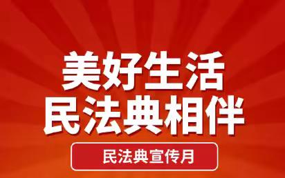 杜童小学民法典宣传月活动