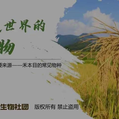 钢城小学探索生物社团