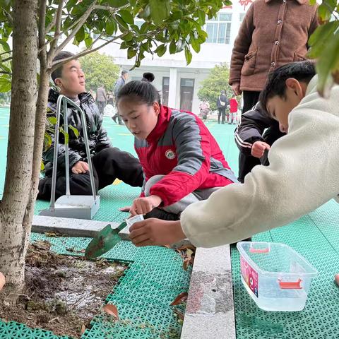 播撒绿色希望，共赴春天之约 ‍固镇特校3月12日植树节活动