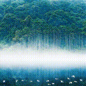 走近3.15，计量在行动——电子计价秤新规宣传活动全面开展