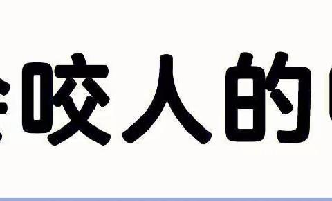 用电安全教育——《会咬人的电》