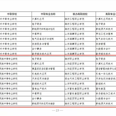 搭建“职通”立交桥，实现学生大学梦——新能源汽车运用与维修专业简介