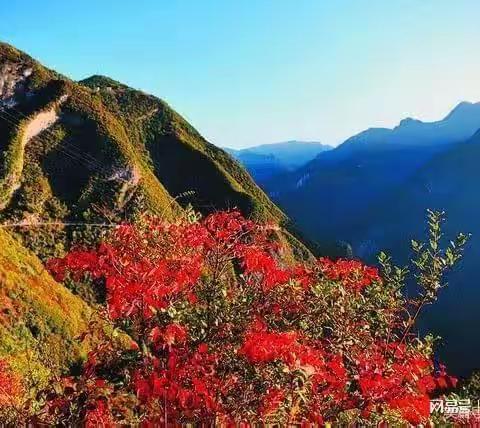 十里云湖四日自由行-游大重庆山区景点巫溪兰英大峡谷景区，去看最美的秋色满山红叶！