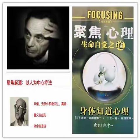 欢迎报名！2024 春季 ——第四期聚焦取向心理疗法开始招生啦！