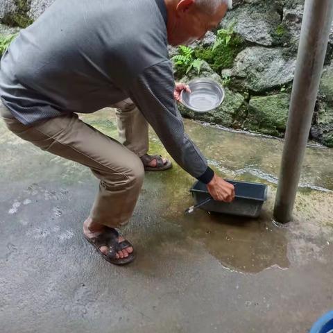 大成镇西庆居开展预防登革热环境卫生整治