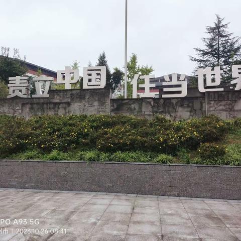 凝心聚力孕桃李，奋力前行续华章——达川区教师跟岗培训总结