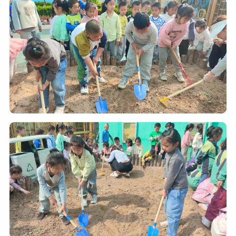 【生活即教育  体验即成长】—河津市第三幼儿园大一班