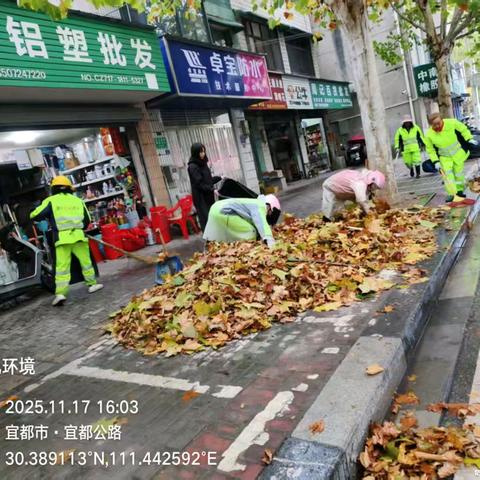 落叶季的坚守：环卫工人守护城市洁净