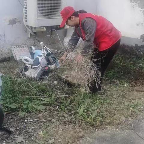 源汇区城市发展服务中心积极开展城市清洁行动：以实干诠释担当精神