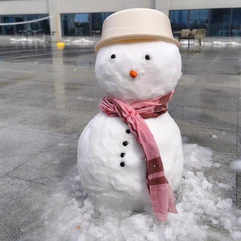 世界赠我一场雪