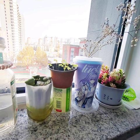 “寓”见规范，“宿”造新风 ——山师大附中学生宿舍行为规范评比月活动