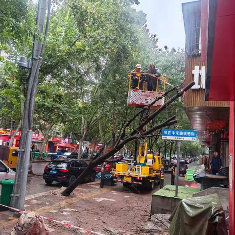 安全圈｜"风雨致树倾 合力解民忧"网格员联动城管火速清障