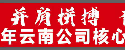 云南公司开展“并肩拼搏 奋斗有我”2023年云南分公司核心县级市场人员培训