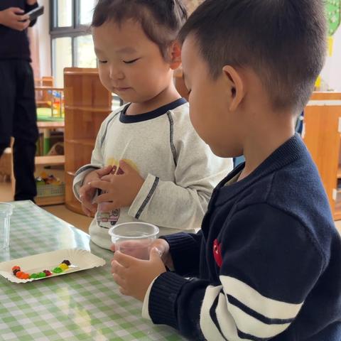 探索科学奥秘，点亮成长时光