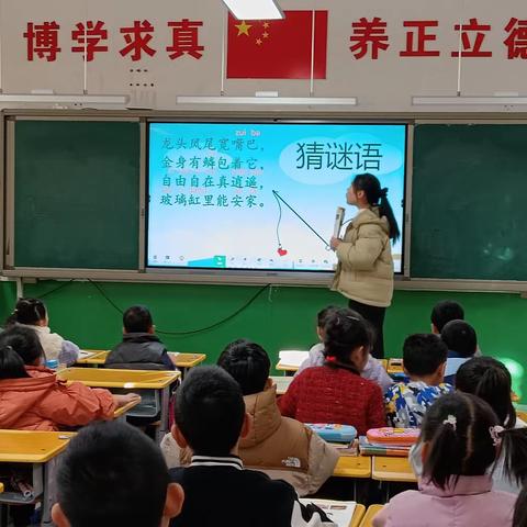 科学源于观察与思考 —刘静雯老师作课《观察金鱼》研讨纪实