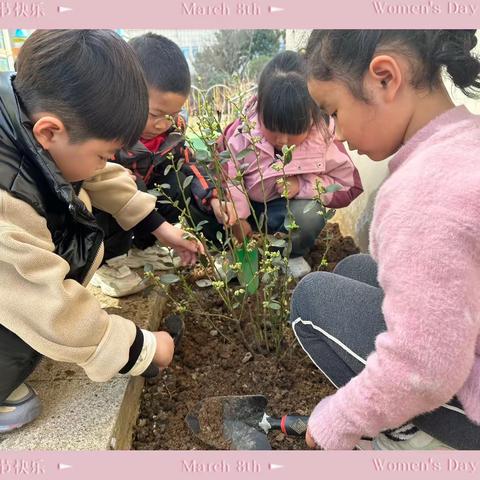 植一抹绿色   溢一片春光——-信合龙江幼儿园3.12植树节活动