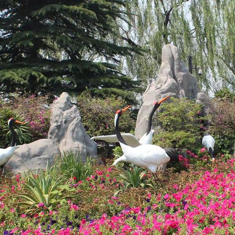 镜头前的大明湖之八——明湖雕塑