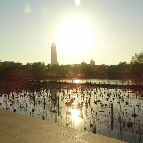 镜头前的大明湖之十——明湖冬日12拍