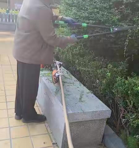 【城管进社区】开展浇水护木 共建美丽家园