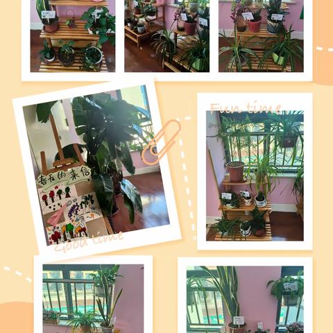 晟禾时代京学幼儿园大一班——春识知多少