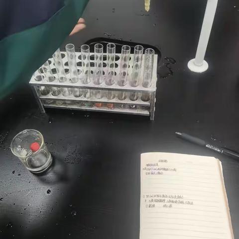 营养和生命化合物的性质