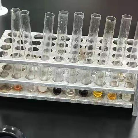 周敏化学课程探索性学习报告