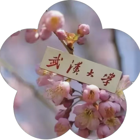 春分至，万物生 拥抱春日的温柔序章 ‍🌈大一班第五周周回顾✨