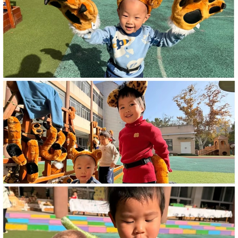 🌈小六班第十一周周回顾✨