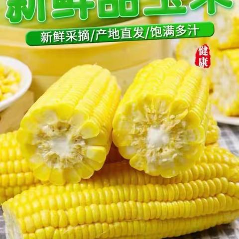 广西香甜农家水果甜玉米又双叒丰收啦！