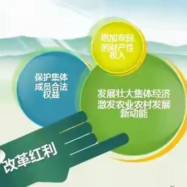 桥子沟村集体经济组织成员折股量化及经营性资产收益分配与分红机制(试行)