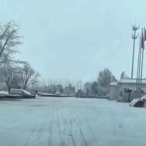 大雪纷飞至，除雪暖意浓