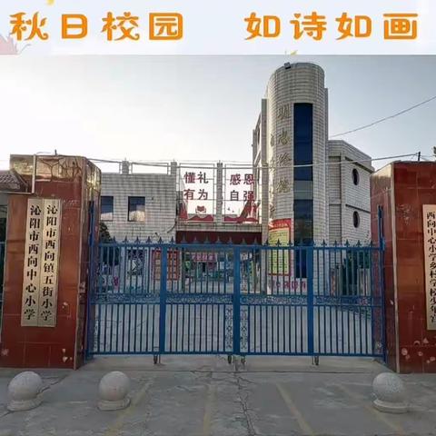 西向中心小学十一月主要工作掠影