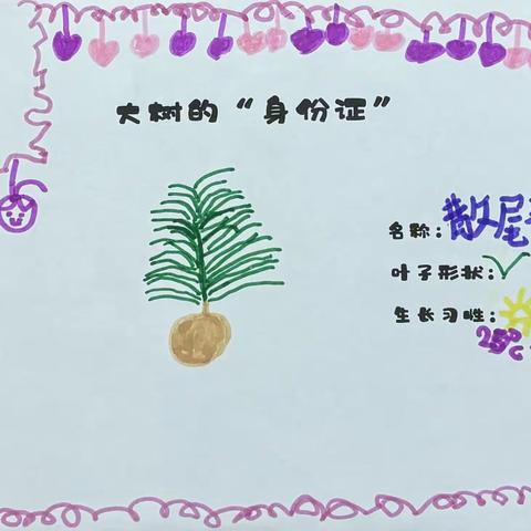 锦地幼儿园植物乐园之散尾葵