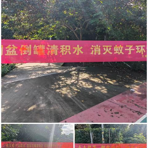 预防登革热   西华居在行动