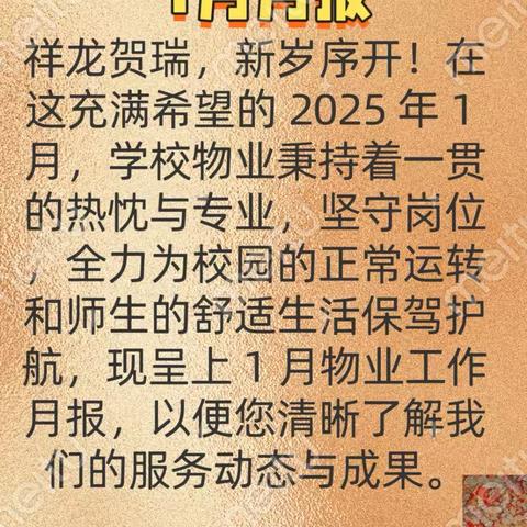 2025年华信集团1月月报