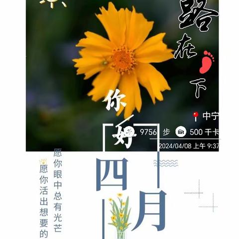 追光的人，终会光芒万丈 ————国培计划(2023)中宁县中小学教师数字素养提升（骨干教师）培训纪实活动