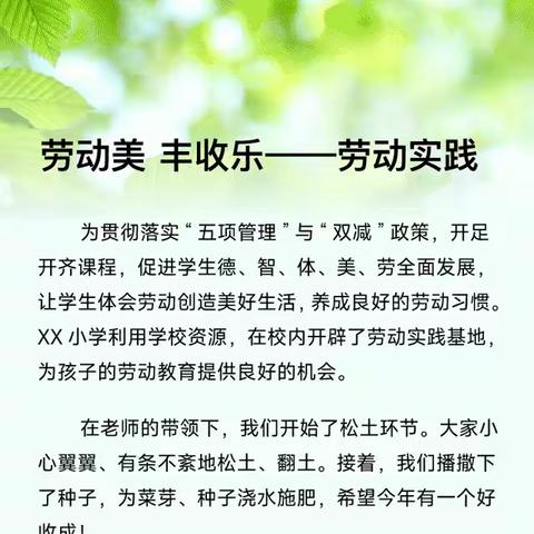 以“劳”树德   以“劳”润美——一师附小龙亭学校开展跨学科综合实践活动