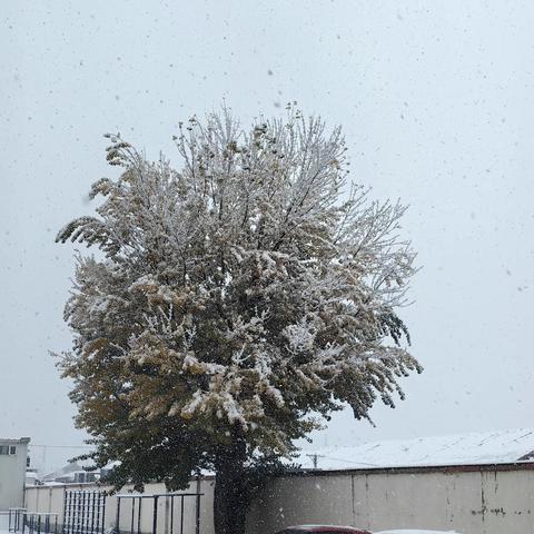 长春市第七十中学应对暴风雪预案