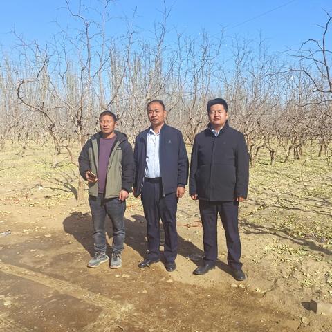 和田分行营业部开展种植贷款走访拓户行动：绘就普惠金融助农新图景