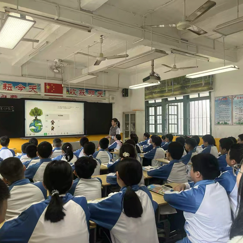 探百分数之美，启数学思维之花——两英新圩学校区性公开课