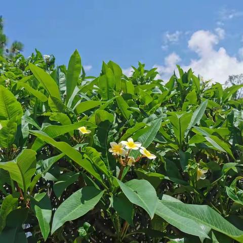 诗歌小辑（八十二）一座边城，一生扎根