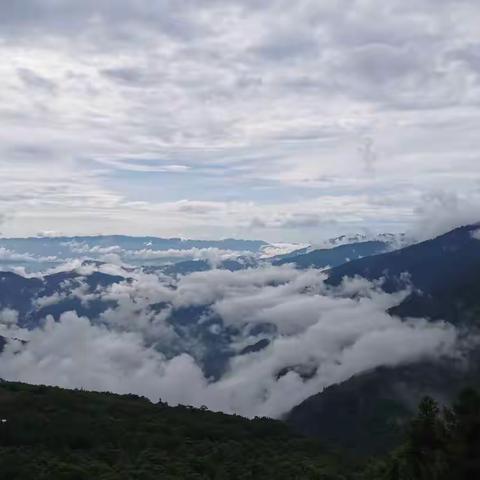 诗歌小辑（八十四）自然的宁静是治愈尘世纷扰的良药