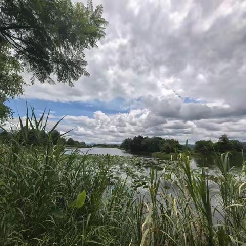 诗歌小辑（八十五 ）蝴蝶飞不过沧海