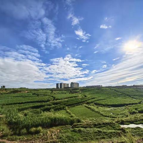 诗歌小辑（九十一）那是谁的江南？