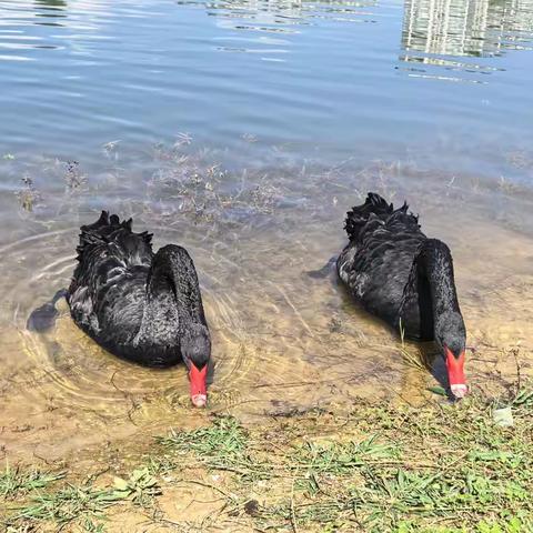 诗歌小辑（九十三）吃一颗彩虹糖，品尝遥远的甜