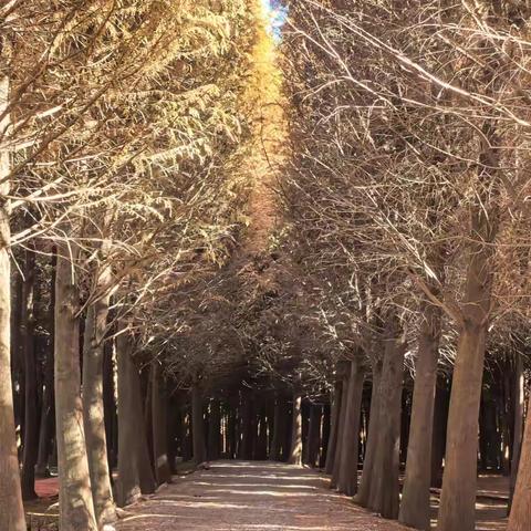 诗歌小辑（九十六）浮生当快哉，钓鳌人独踞沧浪台