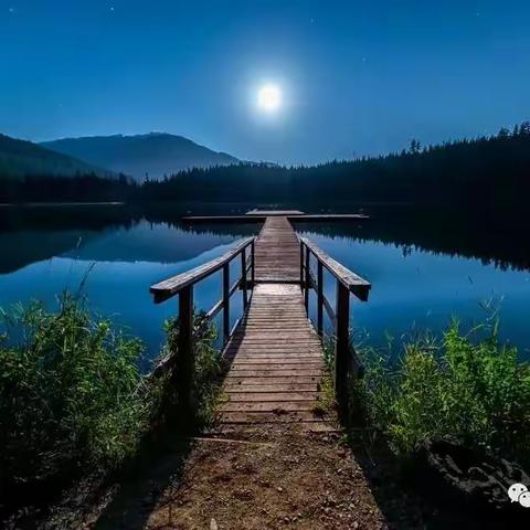 诗歌小辑（九十九）诗随金波漾，酒同银月辉