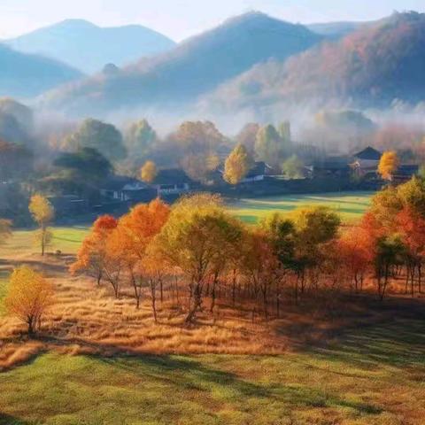 秋日上映🍂·秋日村庄🍁——宜辉幼儿园大二班