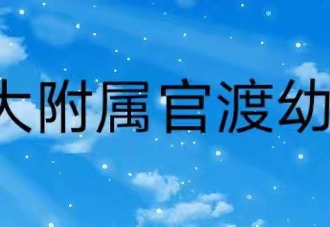 小二班小菜地“紫甘蓝”