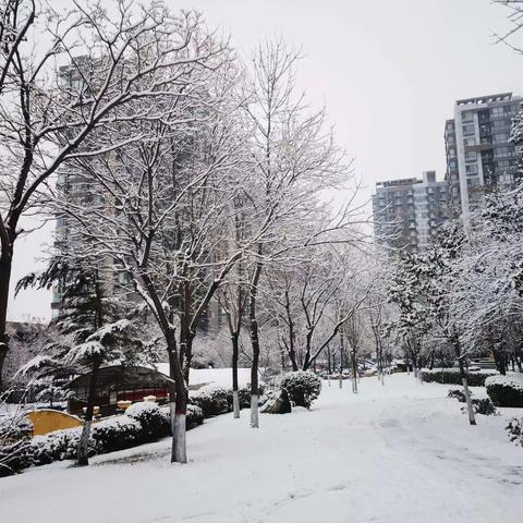 初雪践初心，扫雪暖人心——山西鑫裕祥物业公司御景水城扫雪行动